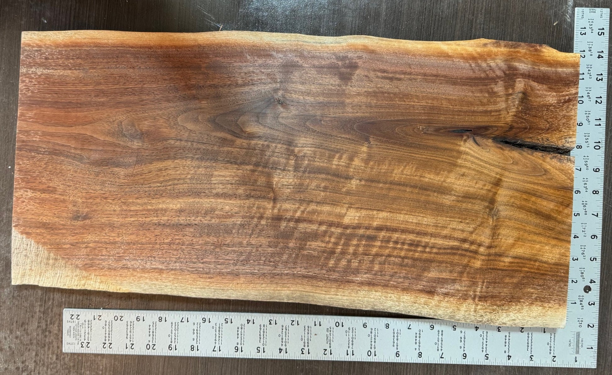 Beautiful Black Walnut Slab from South Dakota