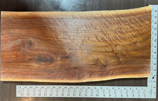 Beautiful Black Walnut Slab from South Dakota